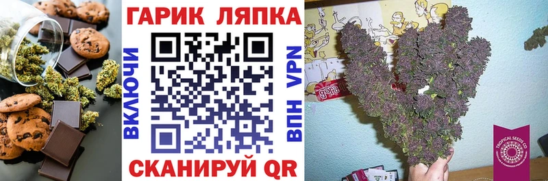 Cannafood конопля  Купить закладки  Княгинино 