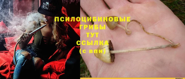 молекула духа Медвежьегорск