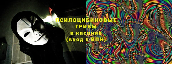 молекула духа Медвежьегорск
