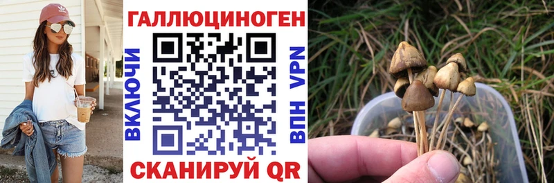 Галлюциногенные грибы GOLDEN TEACHER  Купить где  Княгинино 